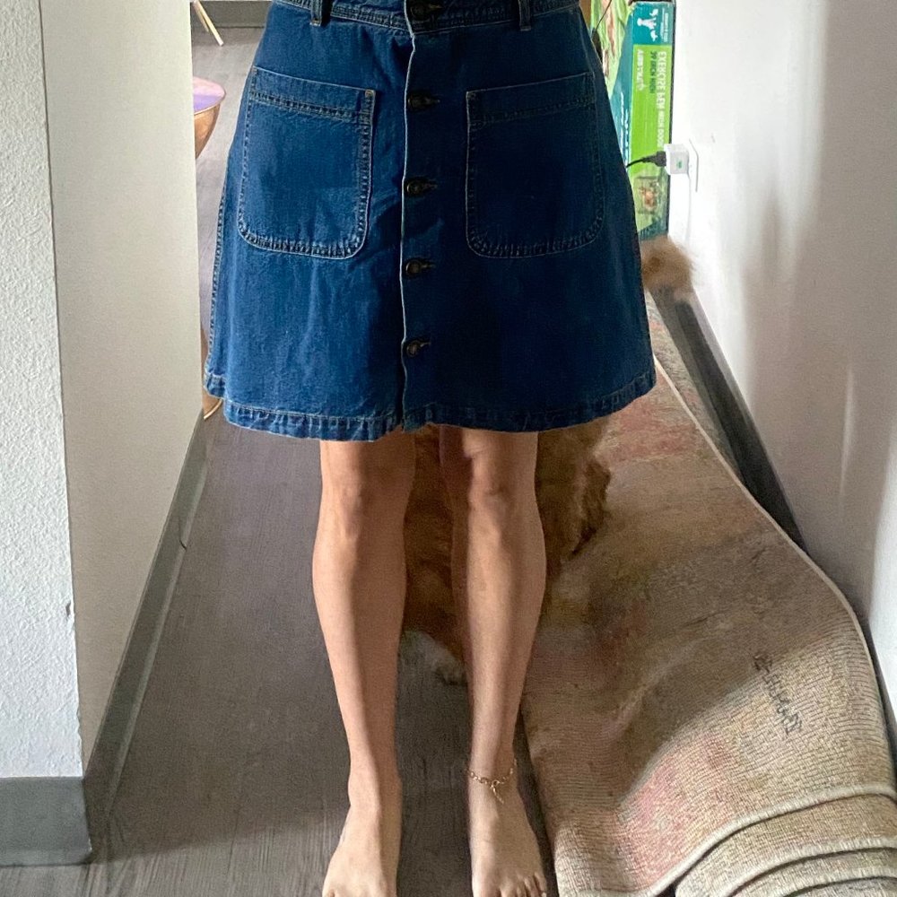 Zara Denmi button skirt - Picture 4 of 4